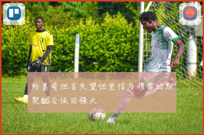 约基奇坦言失望但坚信与穆雷的默契配合依旧强大